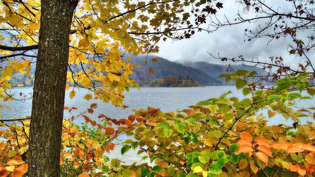 Der goldene Künstler, der goldene Herbst, Helmut Jenne
