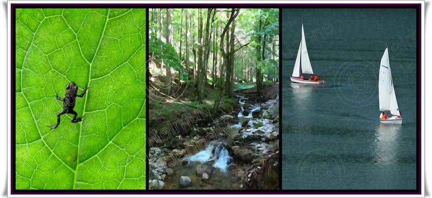 Bild Schliersee Fotokunst Gemäldemodus von Helmut Jenne
