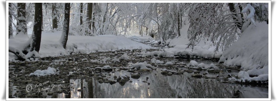 Bild Landschaft im Winter von Helmut Jenne