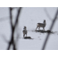 Foto des Monats von Helmut Jenne 01-2013