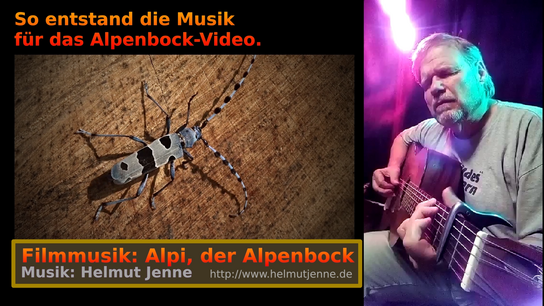 Vorschau zum Lied Alpi der Alpenbockkäfer
